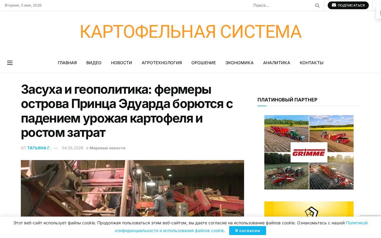 Увядшее картофельное поле и фермер, оценивающий убытки от засухи