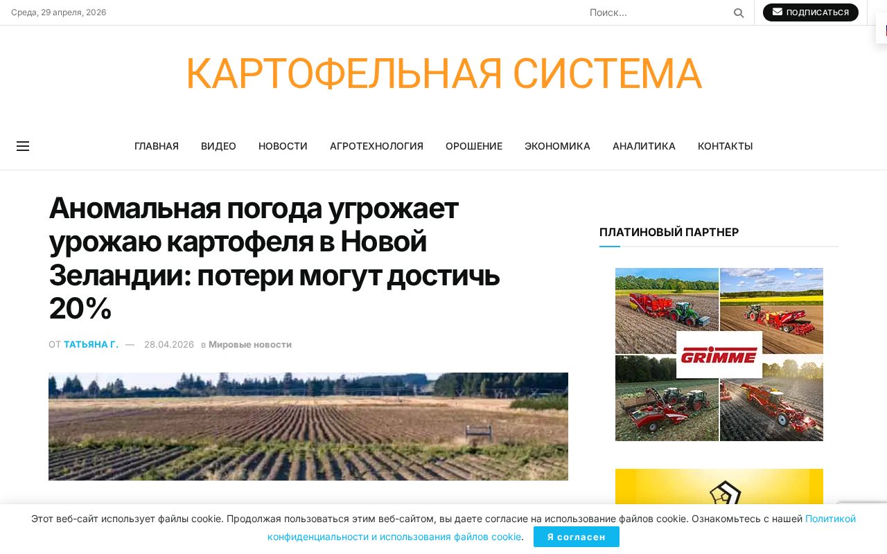 новость о риске потери до 20% урожая картофеля в Новой Зеландии на фоне аномальной погоды