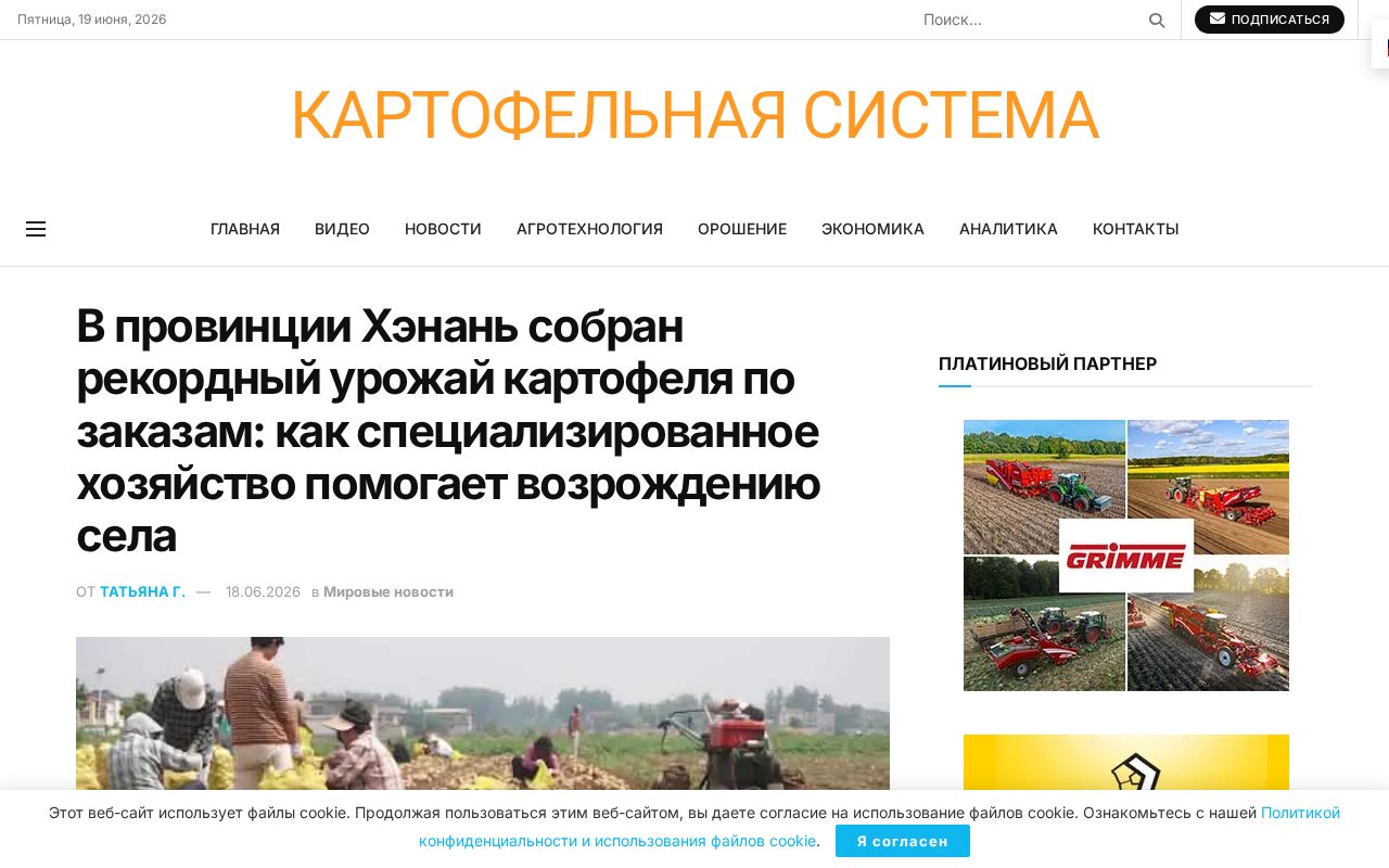 фото уборки картофеля на полях агроэкологического парка в деревне Оуин, уезд Шэньцю, провинция Хэнань