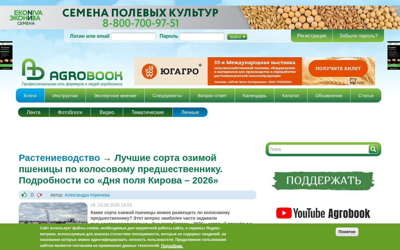 страница Agrobook с материалом о лучших сортах озимой пшеницы по колосовому предшественнику