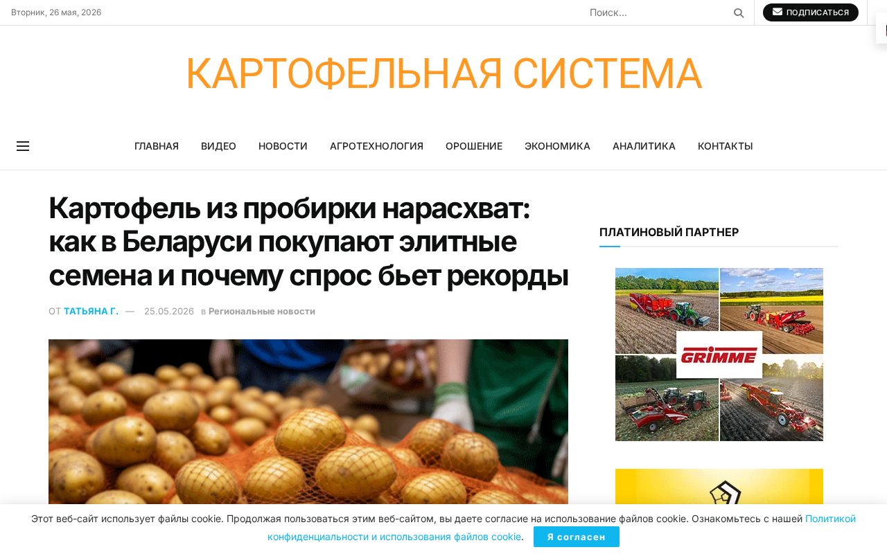 новость о рекордном спросе на элитный семенной картофель в Могилевской области