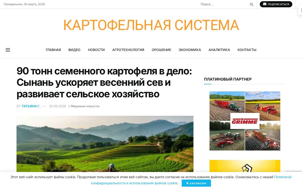 Сортировка здоровых клубней и подготовка грядок в Сюйцзяба перед весенней пересадкой