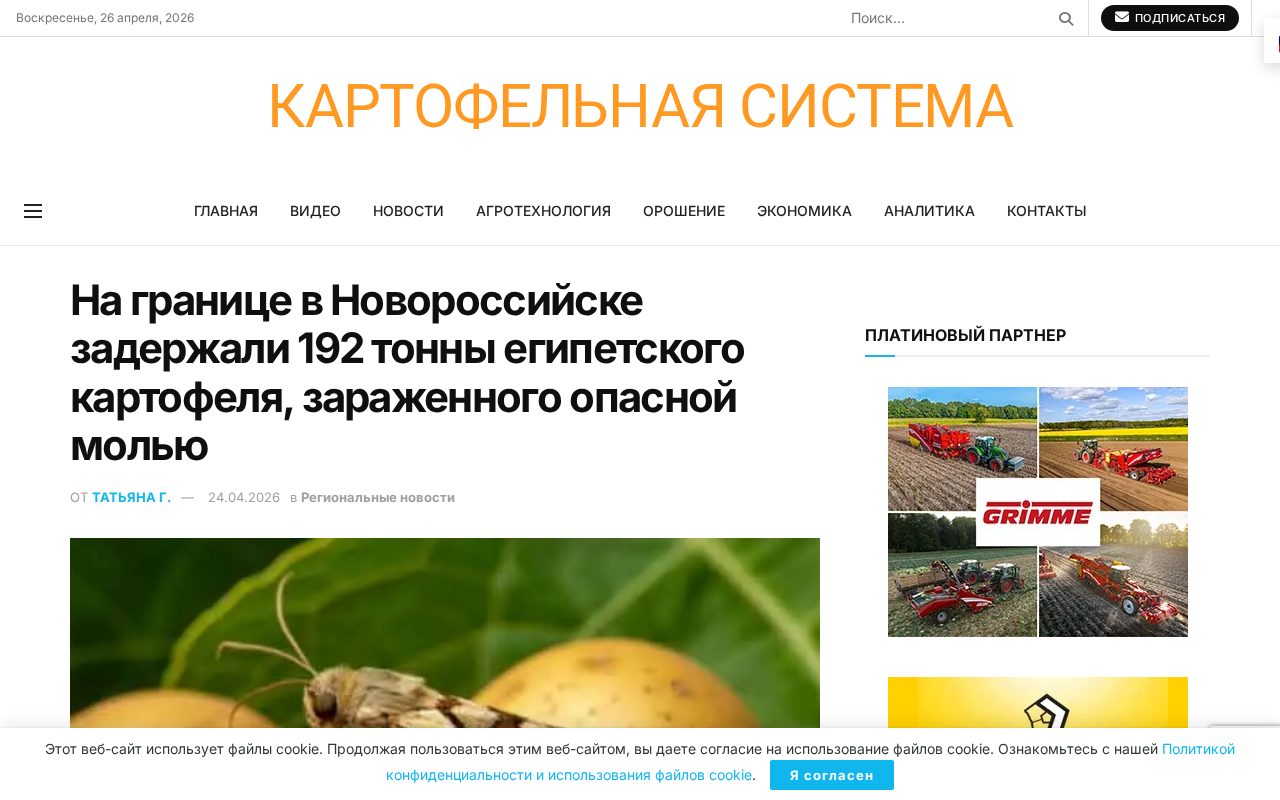 новость о задержании партии египетского картофеля в порту Новороссийска