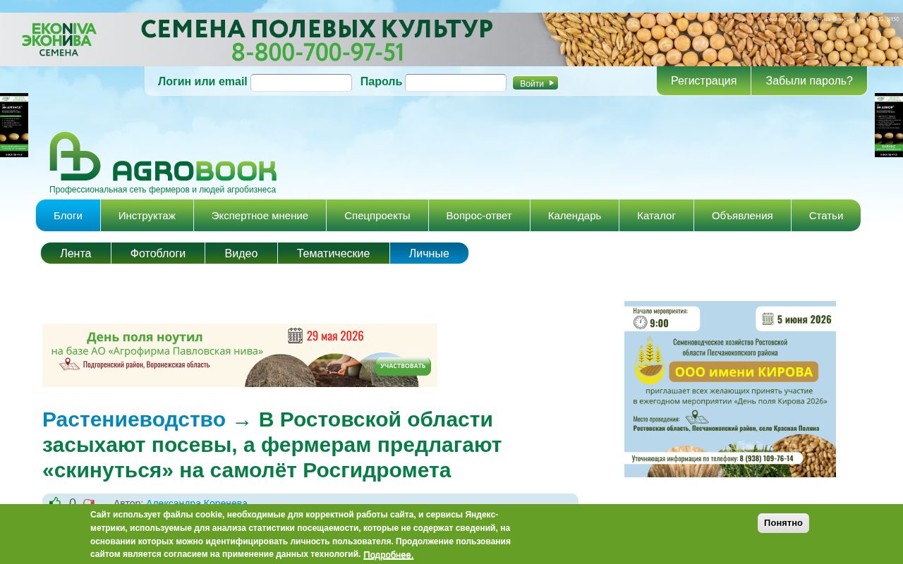 сухие и местами пожелтевшие посевы зерновых в Ростовской области, обсуждение искусственного вызова осадков