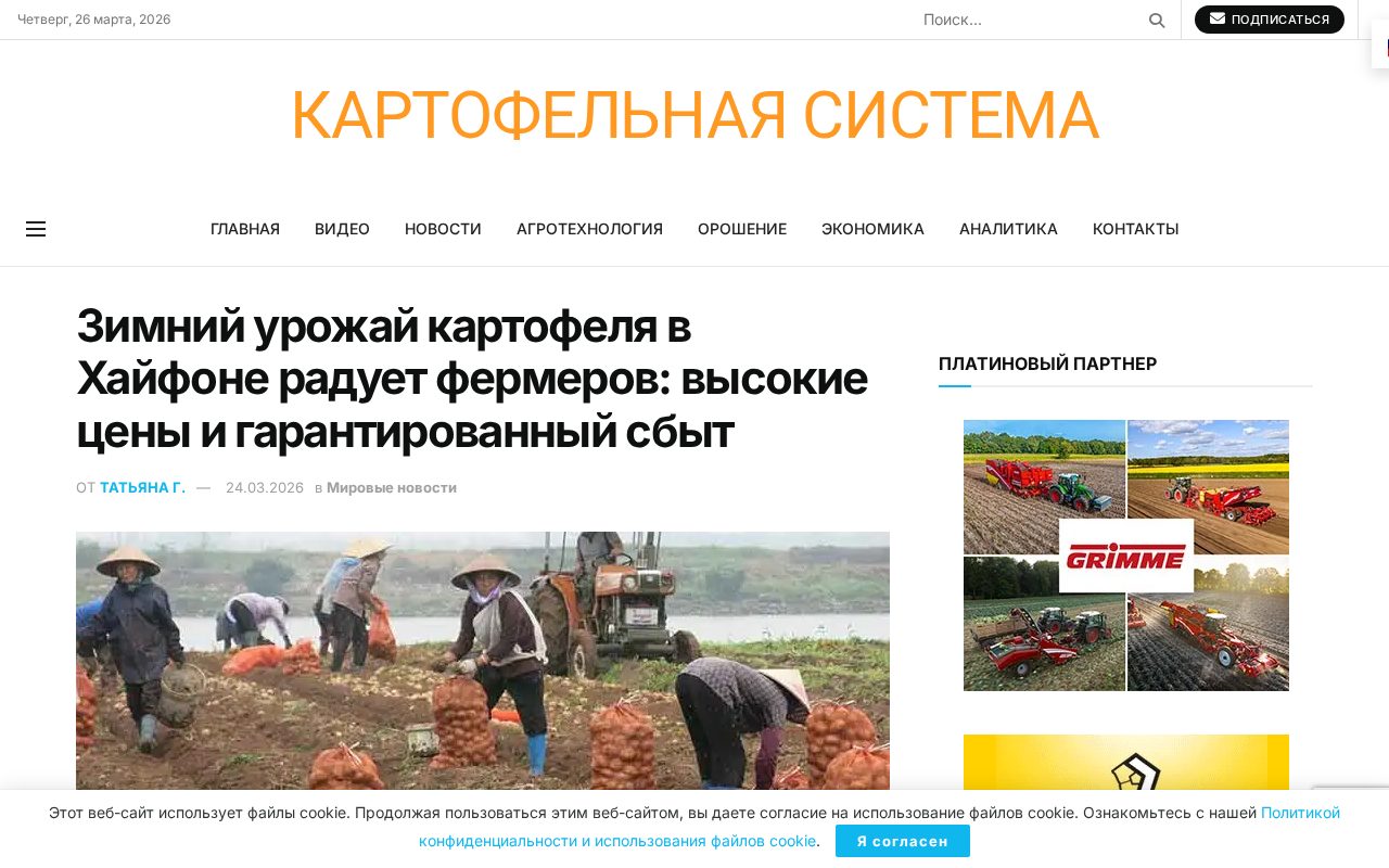 сборщики картофеля в Хонг Чау и поле с табличкой контрактной цены 8500 донгов за кг